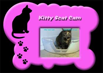 kitty scat cam